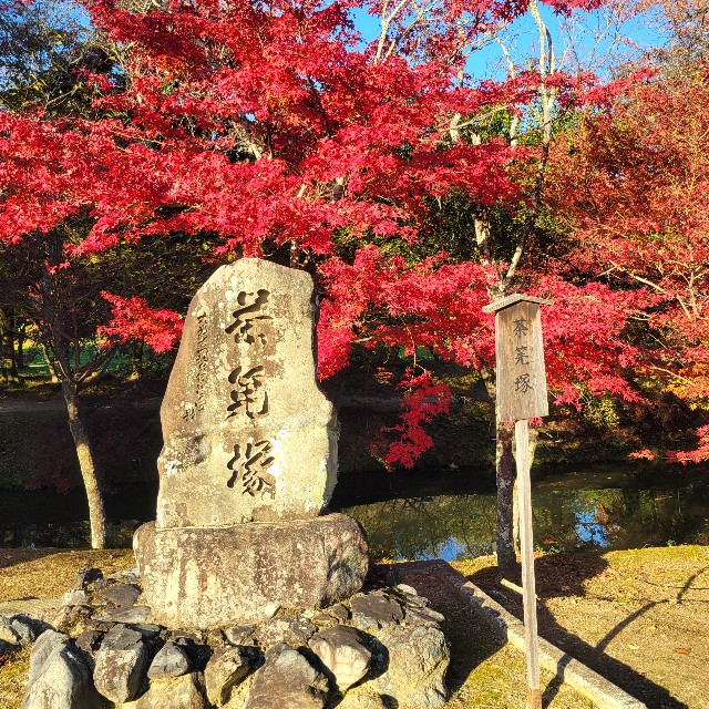 f:id:atoriatoriatori:20241215100620j:image