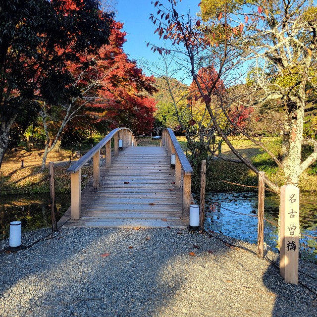 f:id:atoriatoriatori:20241215101837j:image