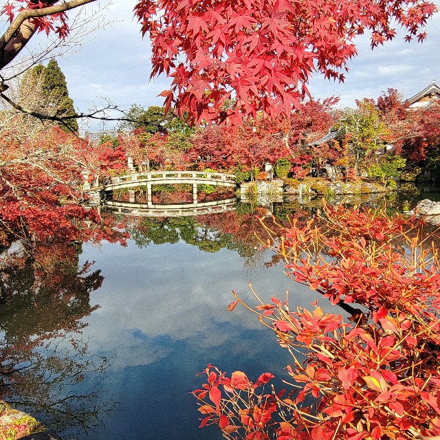 f:id:atoriatoriatori:20241215103736j:image