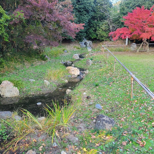 f:id:atoriatoriatori:20241215204740j:image