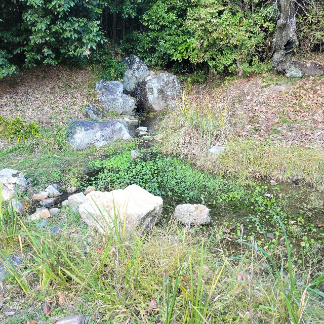 f:id:atoriatoriatori:20241215204756j:image