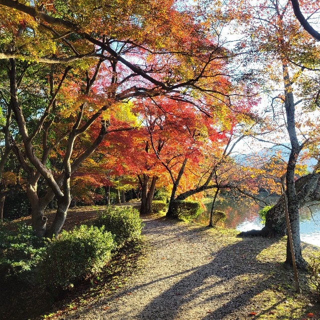 f:id:atoriatoriatori:20241216101758j:image