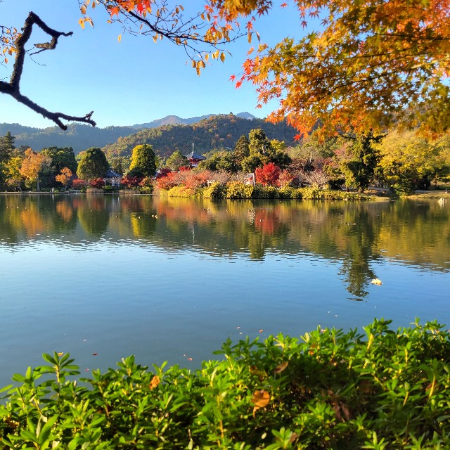 f:id:atoriatoriatori:20241216102025j:image