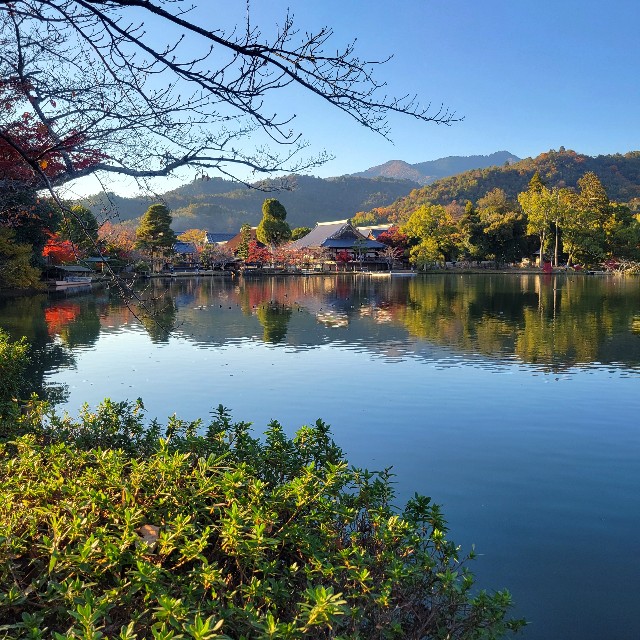 f:id:atoriatoriatori:20241216102047j:image