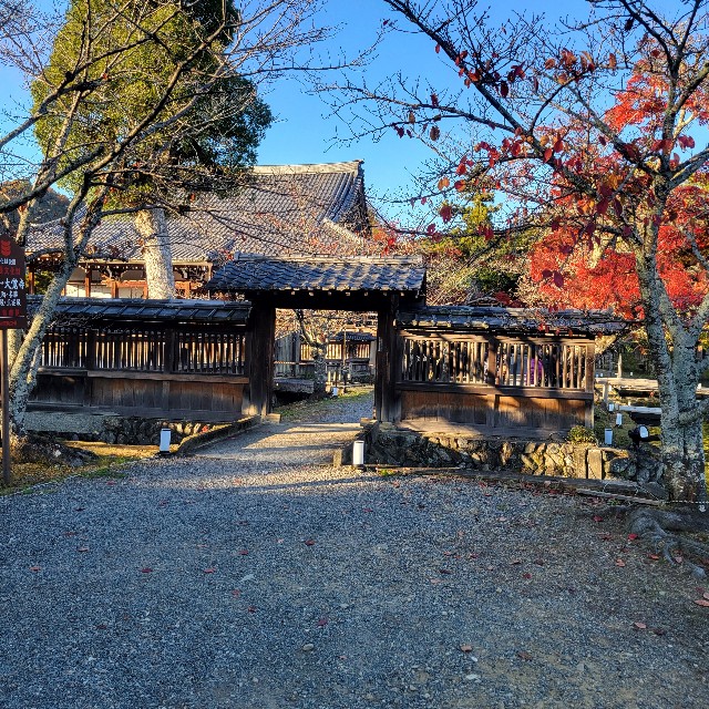 f:id:atoriatoriatori:20241216103740j:image