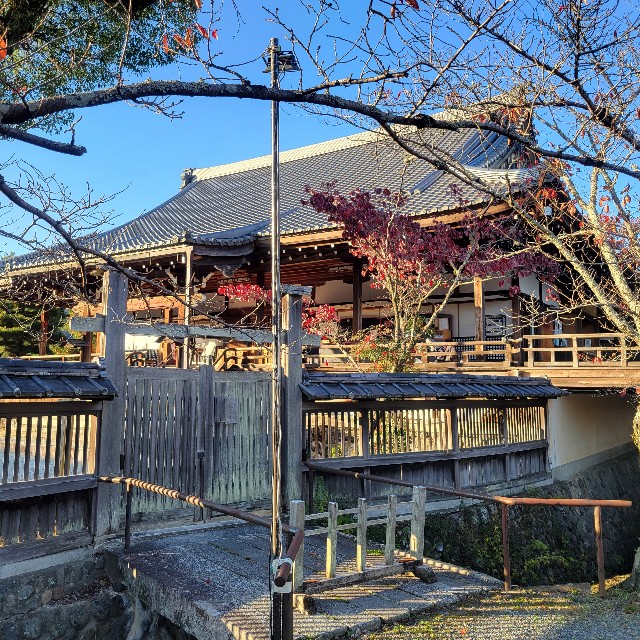 f:id:atoriatoriatori:20241216103750j:image