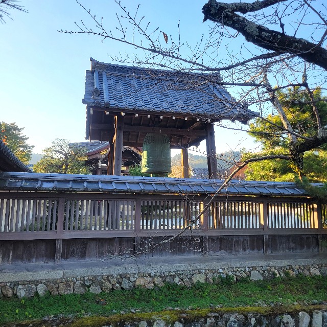 f:id:atoriatoriatori:20241216105249j:image