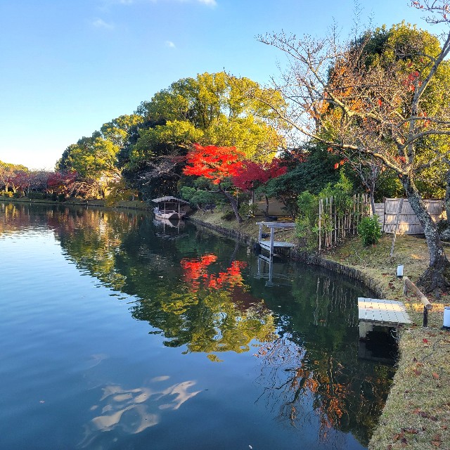 f:id:atoriatoriatori:20241216105304j:image