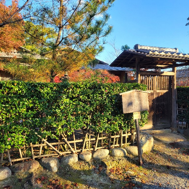 f:id:atoriatoriatori:20241216105312j:image