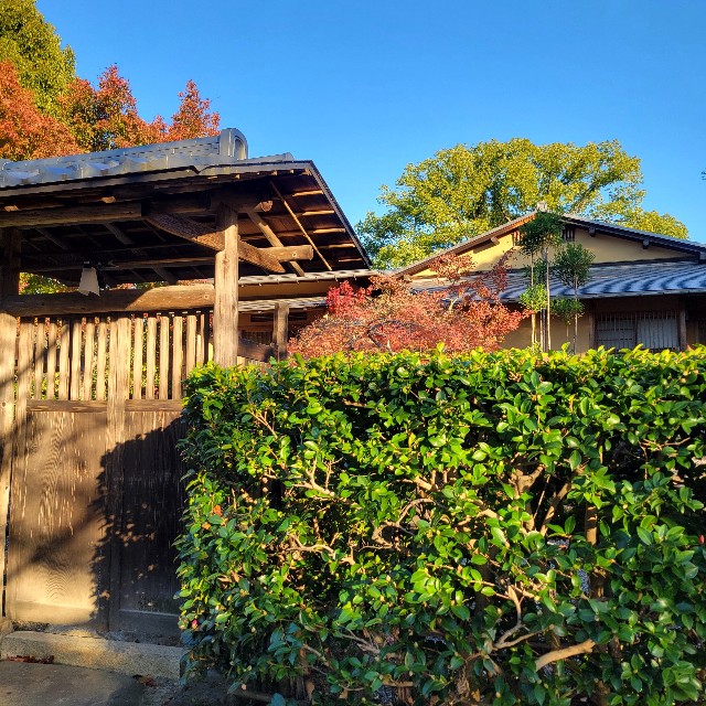 f:id:atoriatoriatori:20241216105430j:image