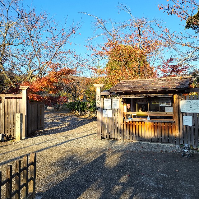 f:id:atoriatoriatori:20241216105501j:image