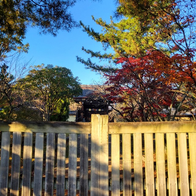f:id:atoriatoriatori:20241216115037j:image