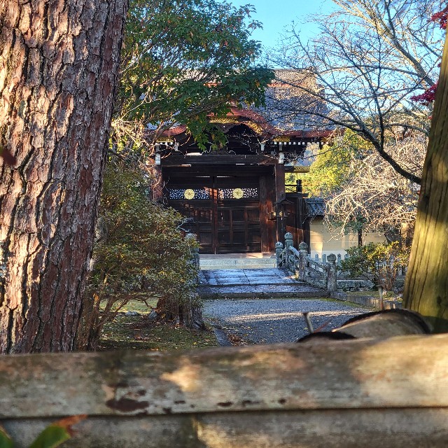 f:id:atoriatoriatori:20241216115045j:image