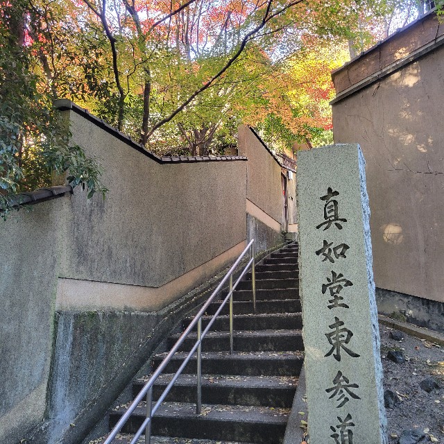 f:id:atoriatoriatori:20241216141136j:image