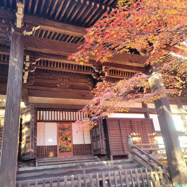 f:id:atoriatoriatori:20241216141755j:image