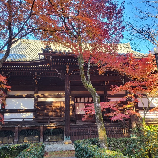 f:id:atoriatoriatori:20241216142330j:image