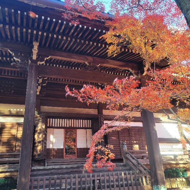 f:id:atoriatoriatori:20241216142638j:image