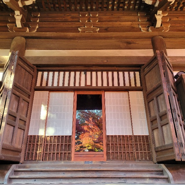 f:id:atoriatoriatori:20241216142647j:image