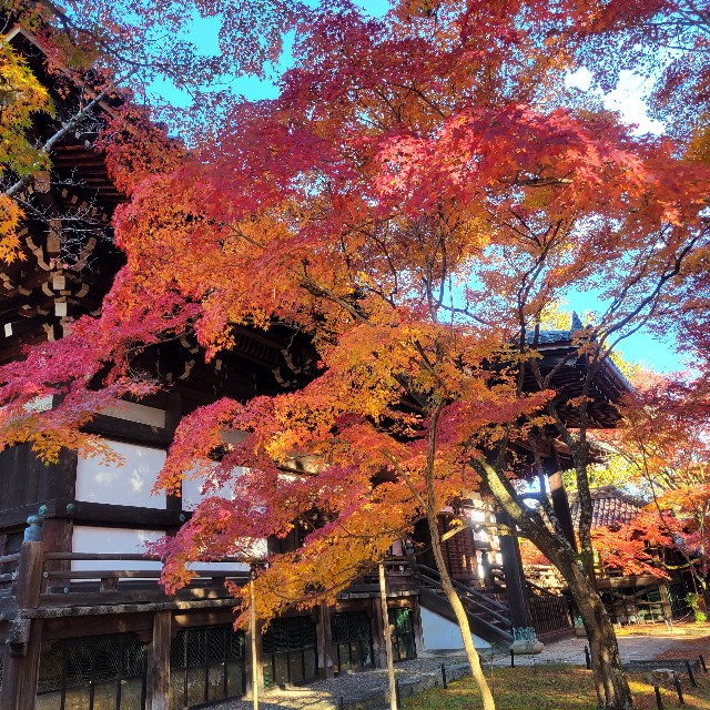 f:id:atoriatoriatori:20241216153109j:image