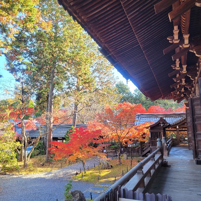 f:id:atoriatoriatori:20241216164438j:image