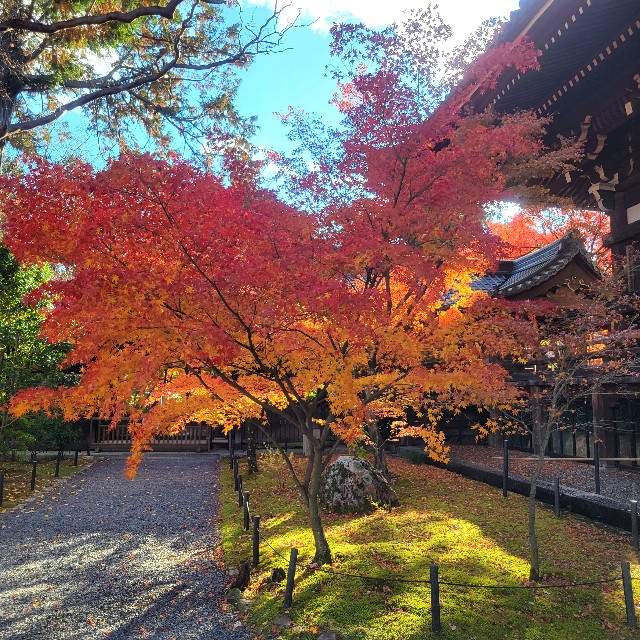 f:id:atoriatoriatori:20241216172437j:image