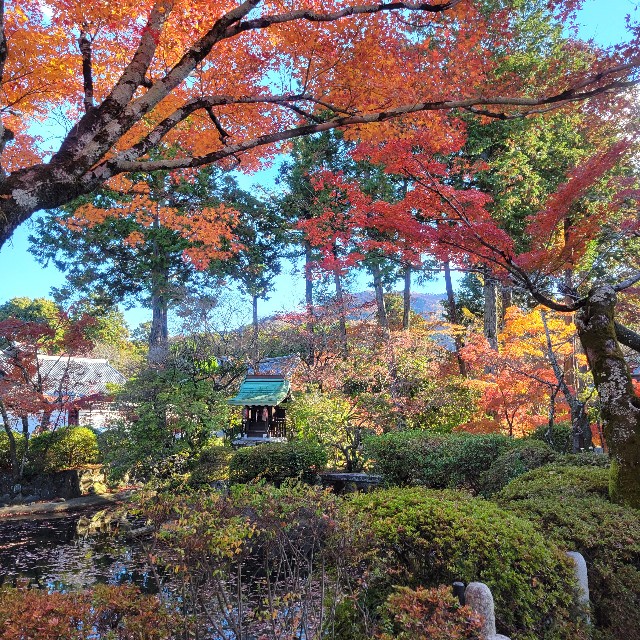 f:id:atoriatoriatori:20241216172602j:image
