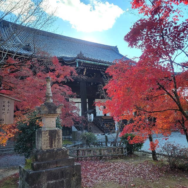 f:id:atoriatoriatori:20241216172814j:image