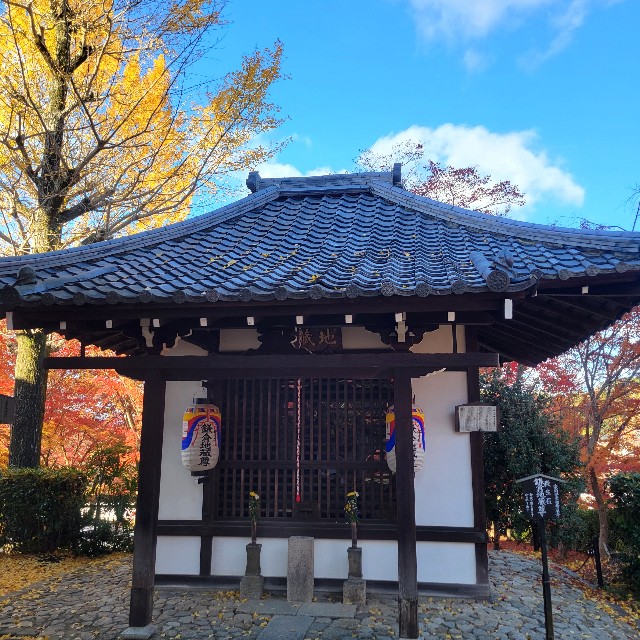 f:id:atoriatoriatori:20241216181643j:image
