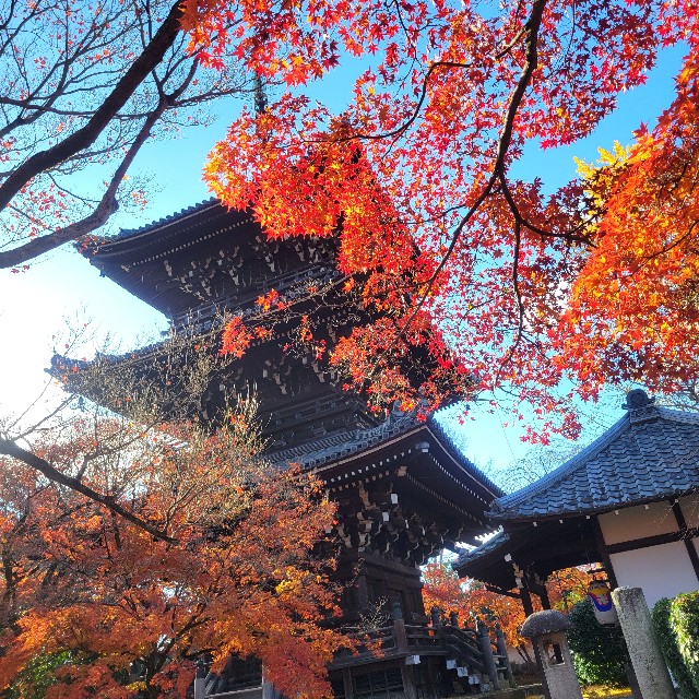 f:id:atoriatoriatori:20241217084743j:image