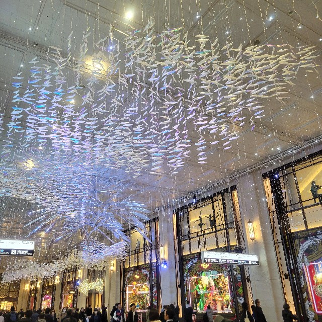 f:id:atoriatoriatori:20241219205314j:image