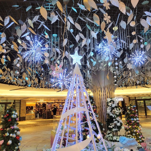 f:id:atoriatoriatori:20241220204839j:image