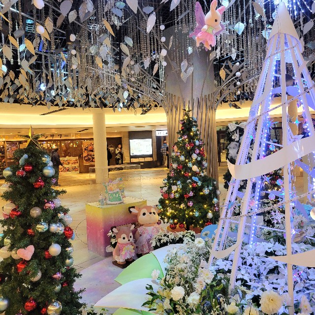 f:id:atoriatoriatori:20241220204901j:image