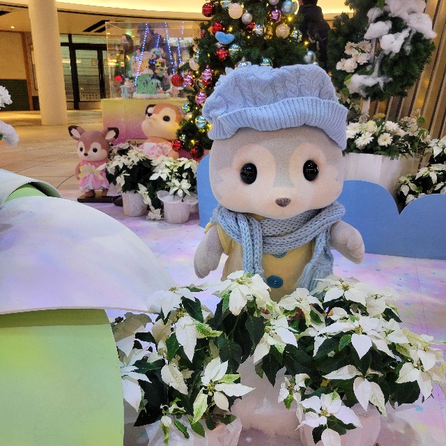 f:id:atoriatoriatori:20241220204911j:image