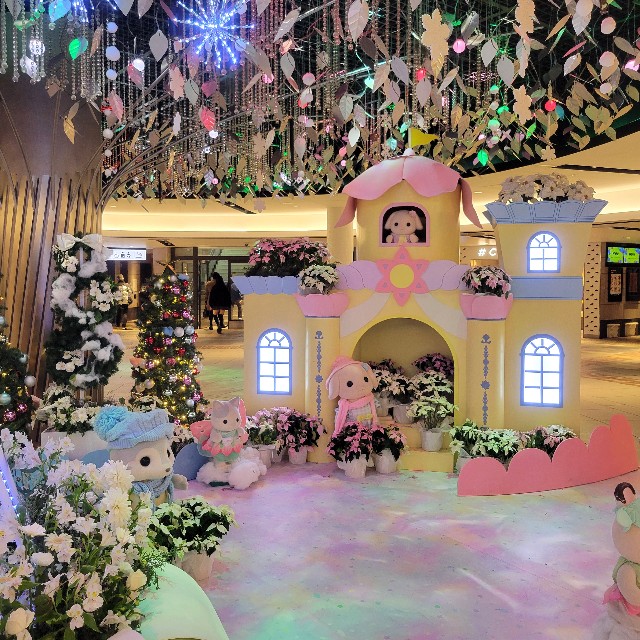 f:id:atoriatoriatori:20241220204941j:image