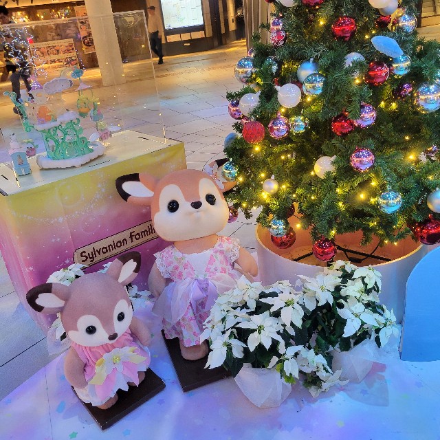 f:id:atoriatoriatori:20241220204950j:image