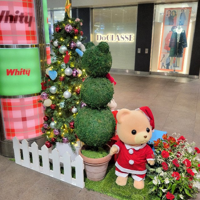 f:id:atoriatoriatori:20241220205253j:image