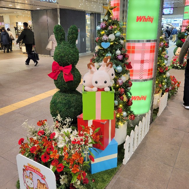 f:id:atoriatoriatori:20241220205301j:image