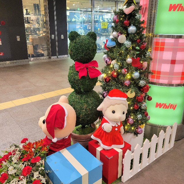 f:id:atoriatoriatori:20241220205309j:image
