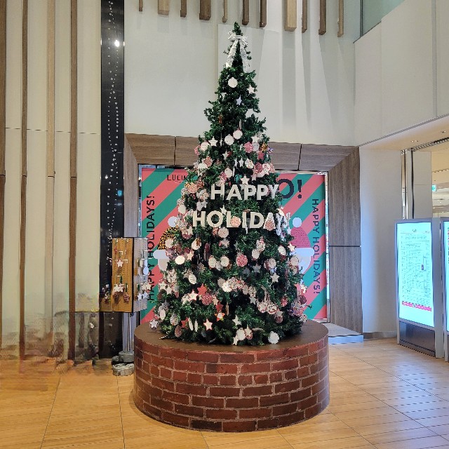 f:id:atoriatoriatori:20241220213907j:image