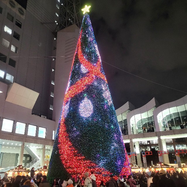 f:id:atoriatoriatori:20241222111634j:image