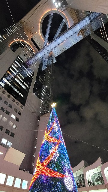 f:id:atoriatoriatori:20241222111652j:image