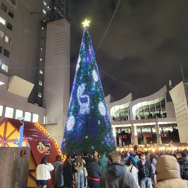 f:id:atoriatoriatori:20241222224757j:image