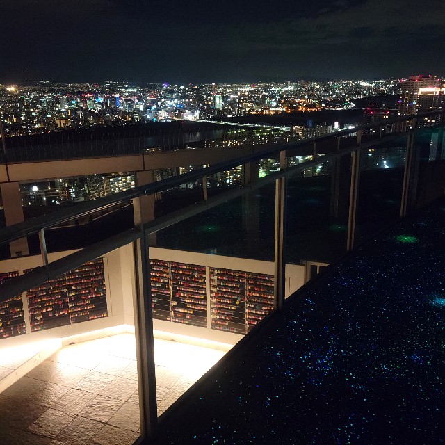 f:id:atoriatoriatori:20241223120756j:image