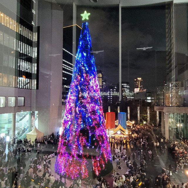 f:id:atoriatoriatori:20241223125821j:image