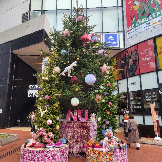 f:id:atoriatoriatori:20241223143652j:image