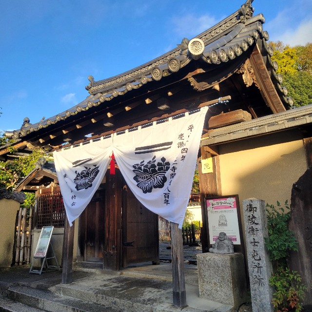 f:id:atoriatoriatori:20241227105038j:image