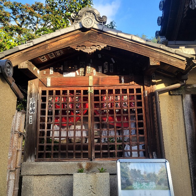 f:id:atoriatoriatori:20241227105056j:image