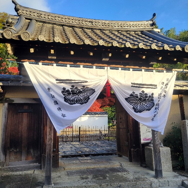 f:id:atoriatoriatori:20241227105116j:image