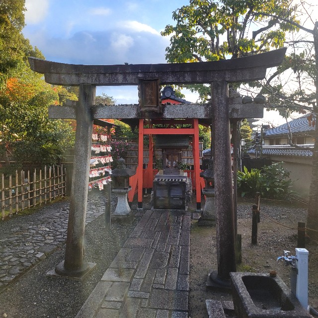 f:id:atoriatoriatori:20241227105810j:image