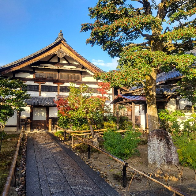 f:id:atoriatoriatori:20241227105904j:image